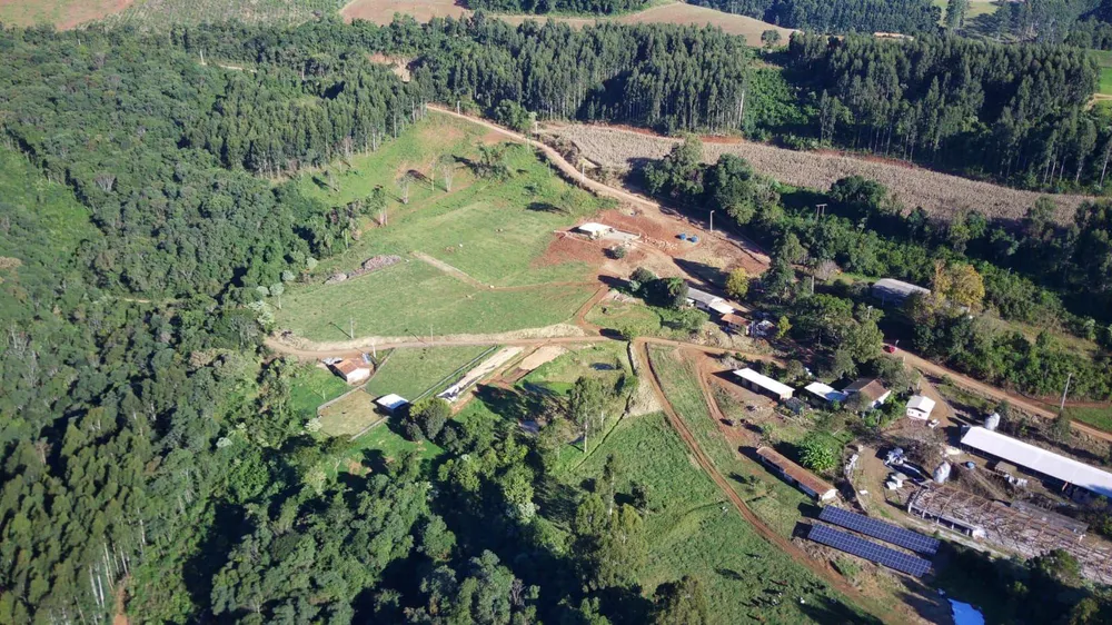 Fazenda, 44 hectares - Foto 2
