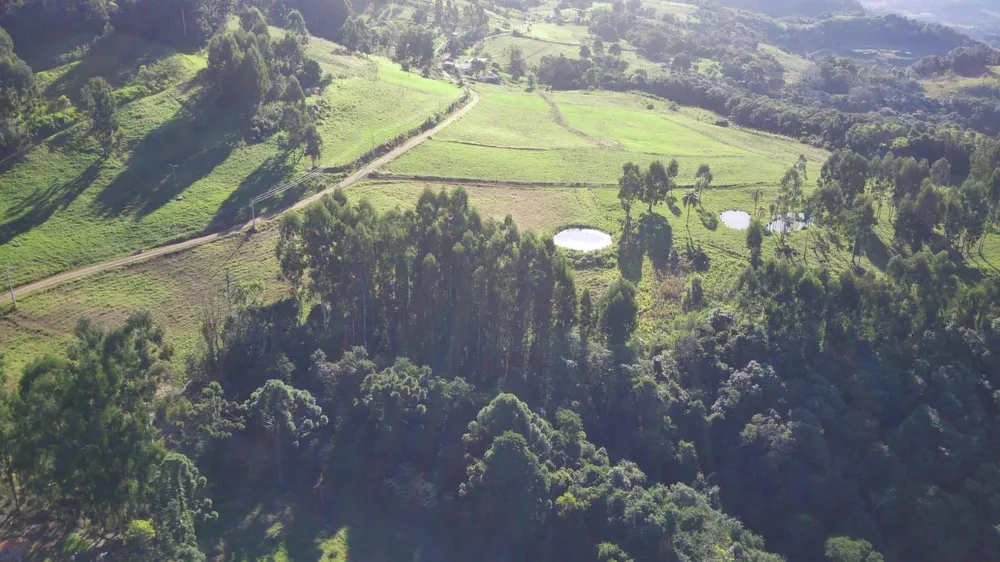 Fazenda, 44 hectares - Foto 10