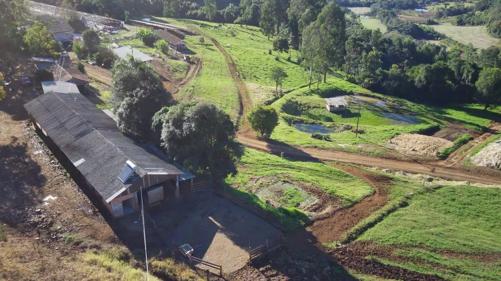 Fazenda, 44 hectares - Foto 4