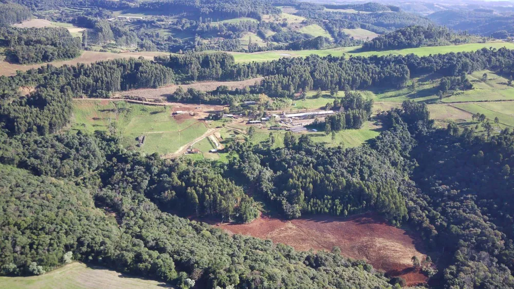 Fazenda, 44 hectares - Foto 12