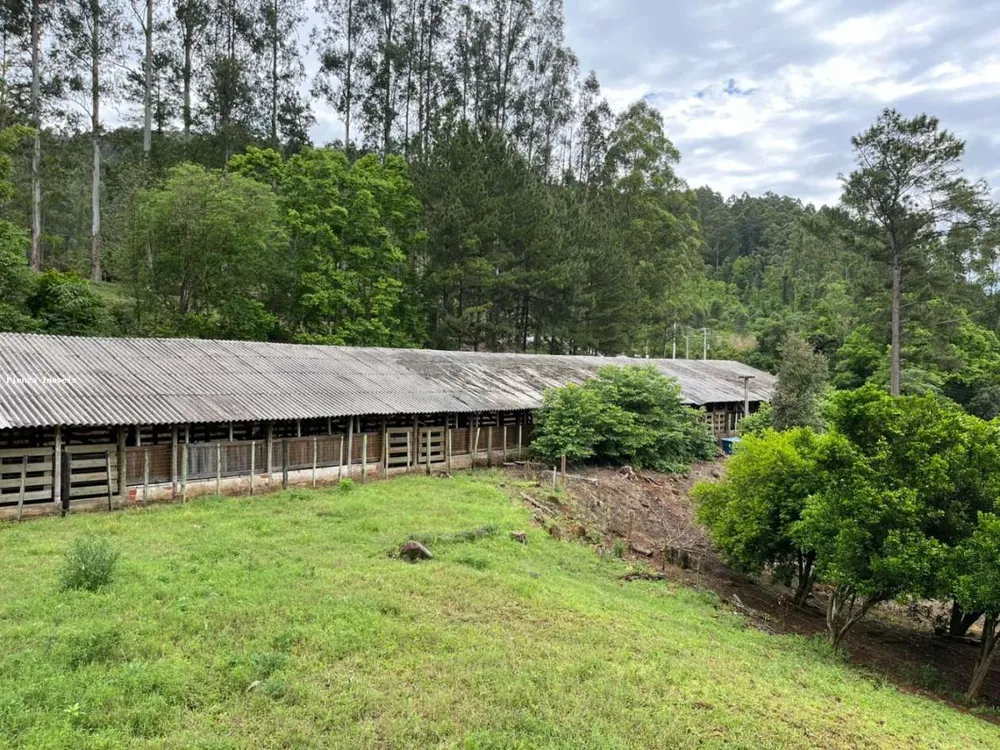 Loteamento e Condomínio, 5 hectares - Foto 2