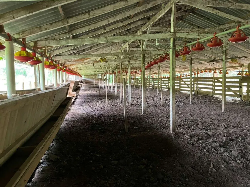 Loteamento e Condomínio, 5 hectares - Foto 10