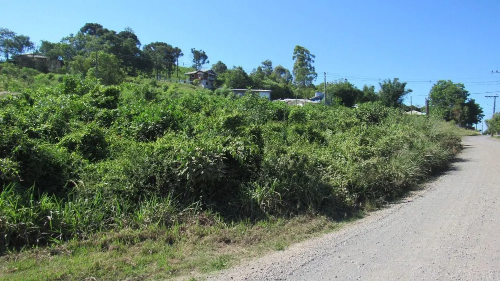 Terreno, 600 m² - Foto 4