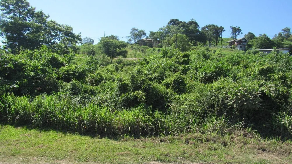 Terreno, 600 m² - Foto 1