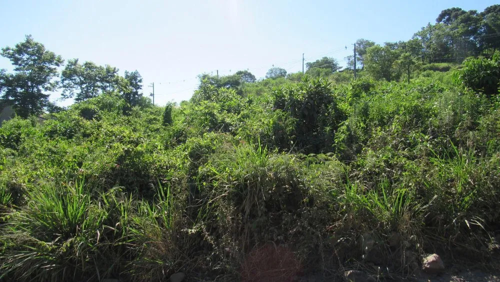 Terreno, 600 m² - Foto 2