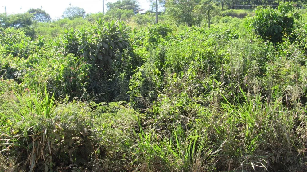 Terreno, 600 m² - Foto 3