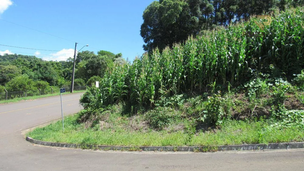 Loteamento e Condomínio à venda, 467M2 - Foto 1