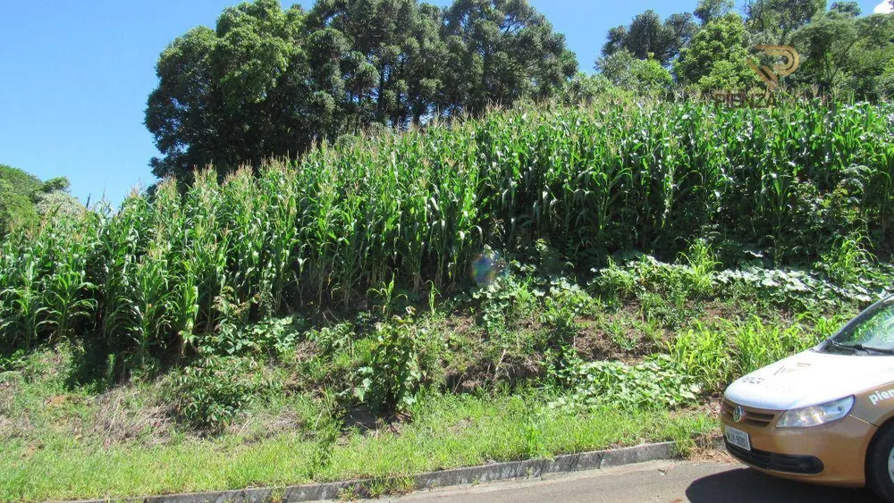 Loteamento e Condomínio à venda, 467M2 - Foto 3