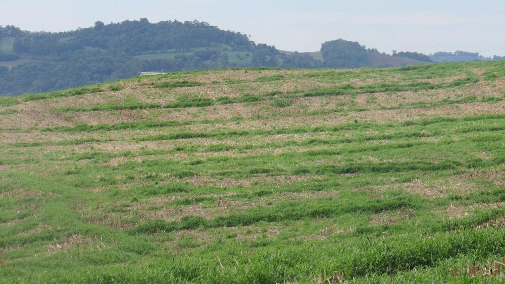 Loteamento e Condomínio, 6 hectares - Foto 16
