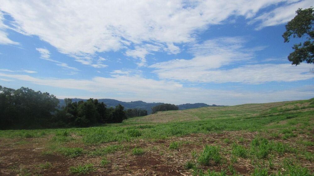 Loteamento e Condomínio, 6 hectares - Foto 11