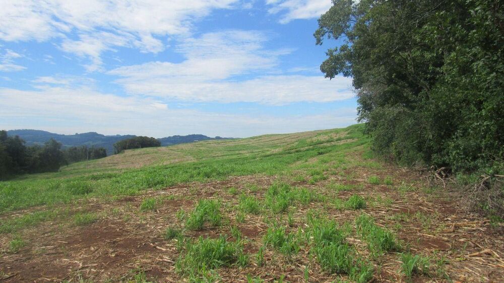 Loteamento e Condomínio, 6 hectares - Foto 9