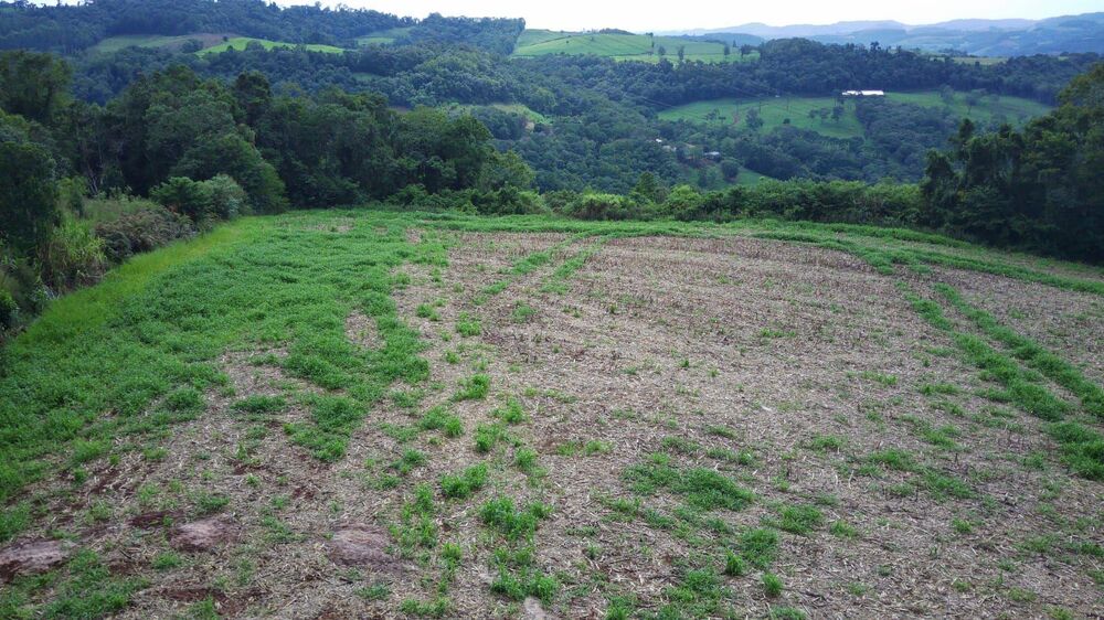 Loteamento e Condomínio, 6 hectares - Foto 3