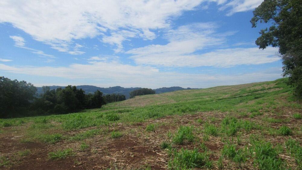 Loteamento e Condomínio, 6 hectares - Foto 10