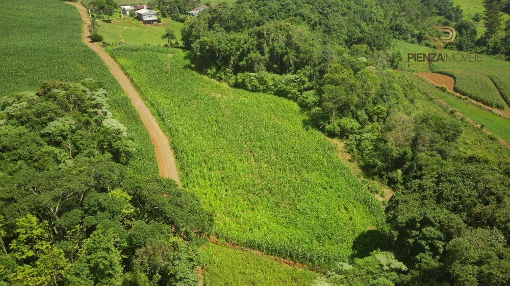 Terreno à venda, 90000M2 - Foto 3