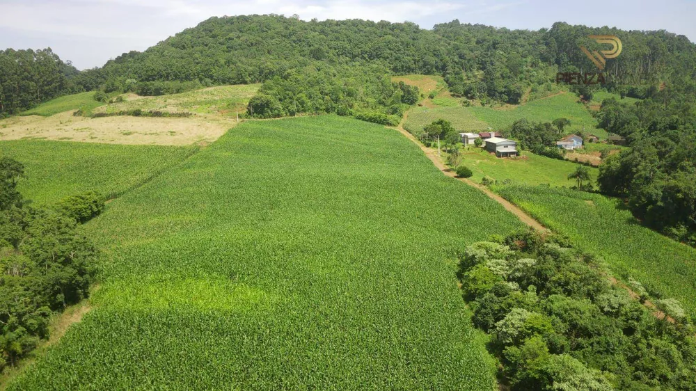 Terreno à venda, 90000M2 - Foto 4