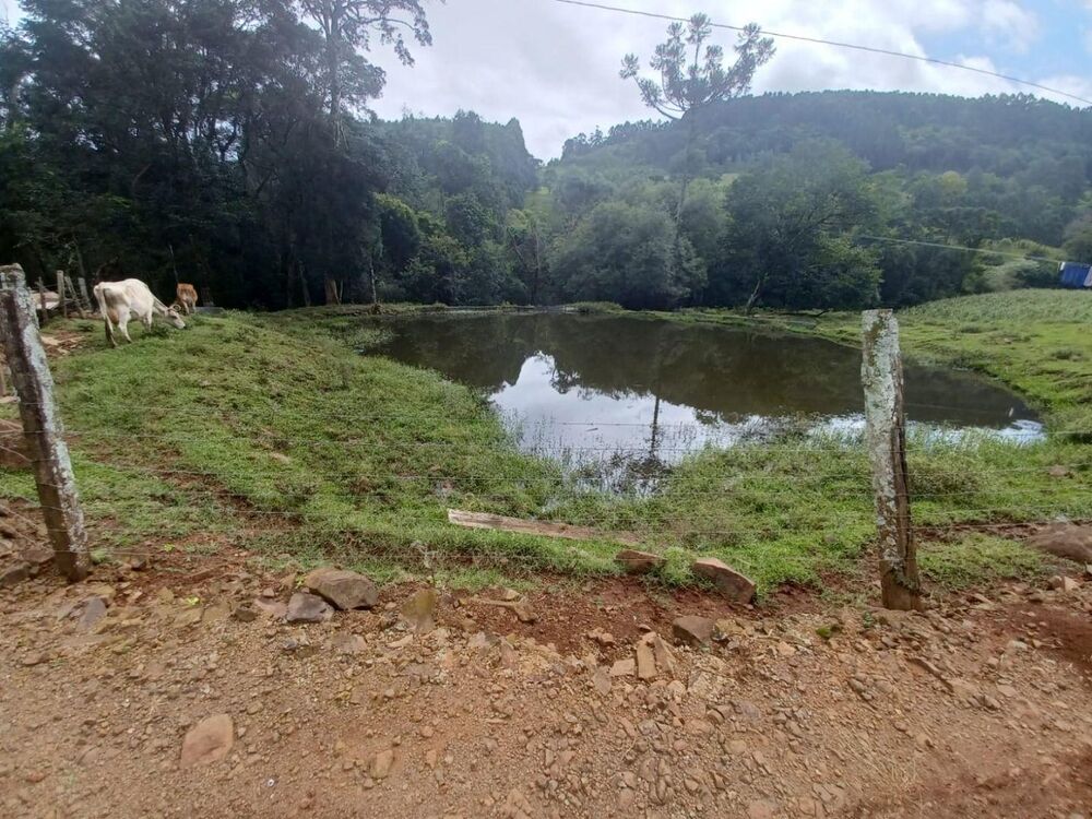 Loteamento e Condomínio, 25 hectares - Foto 4