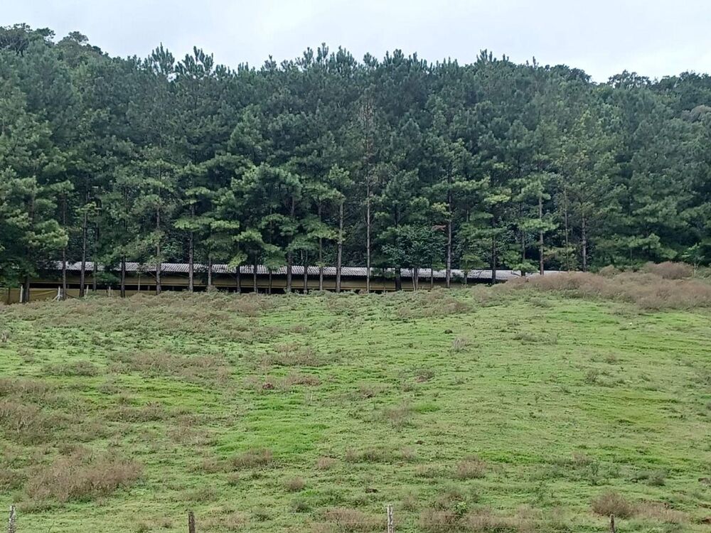 Loteamento e Condomínio, 25 hectares - Foto 14