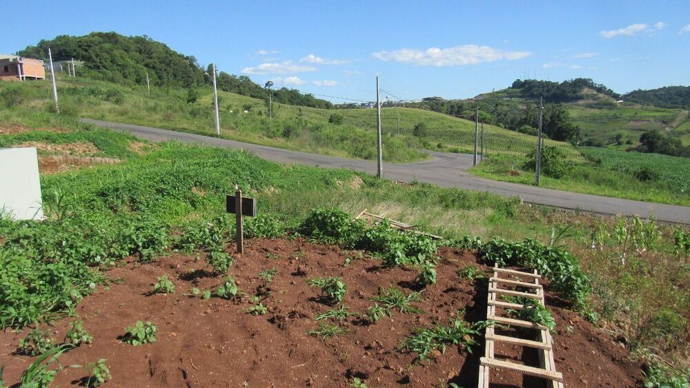 Terreno, 360 m² - Foto 4