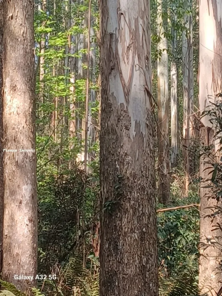 Loteamento e Condomínio, 9 hectares - Foto 1