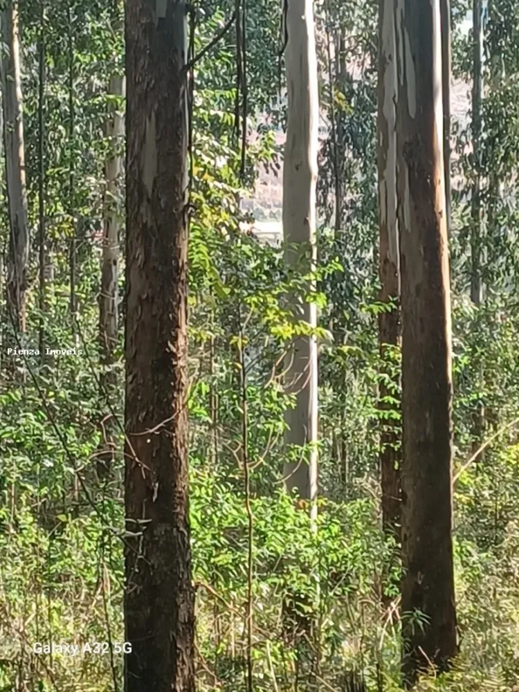 Loteamento e Condomínio, 9 hectares - Foto 4