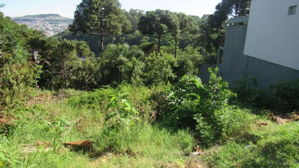 Terreno, 450 m² - Foto 8