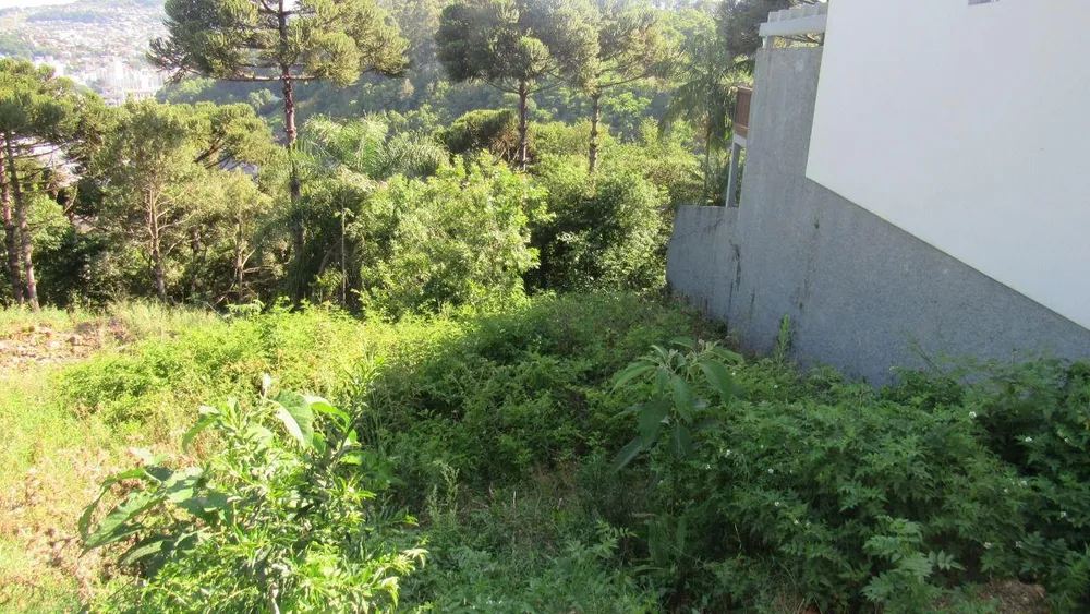 Terreno, 450 m² - Foto 3