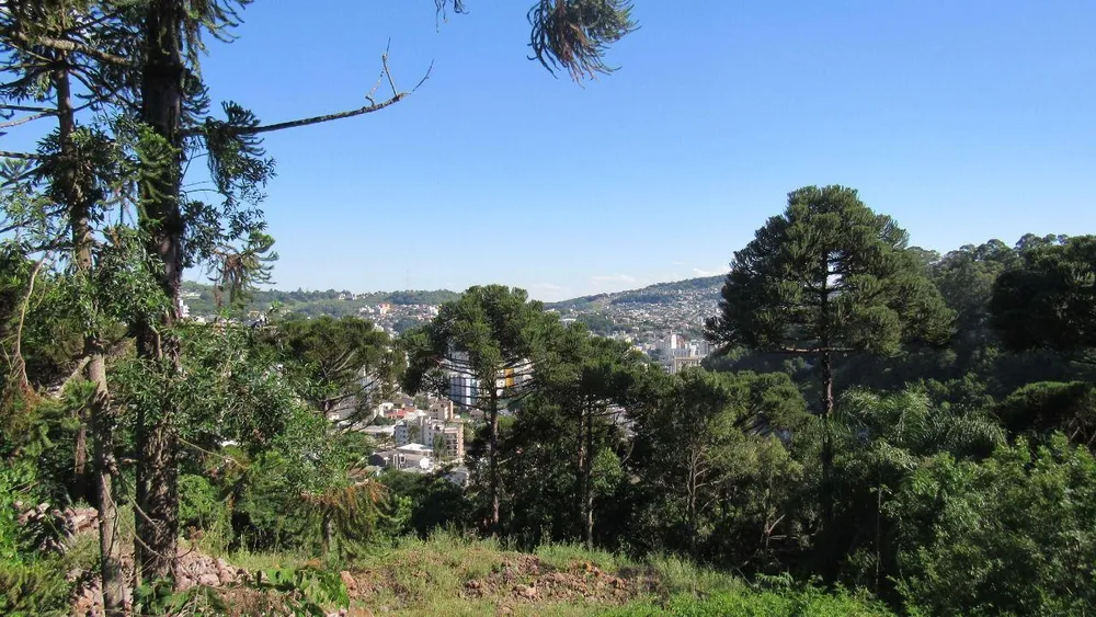 Terreno, 450 m² - Foto 5