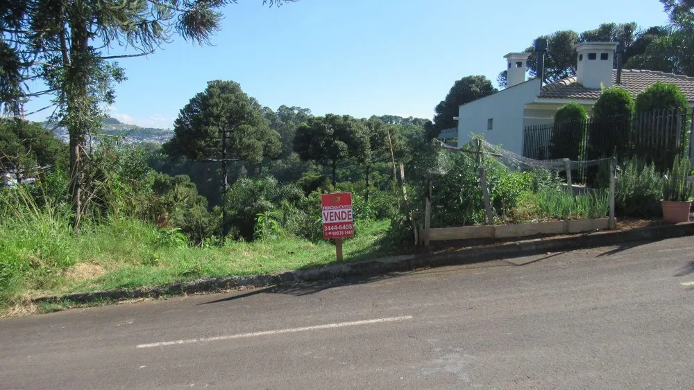 Terreno, 450 m² - Foto 7