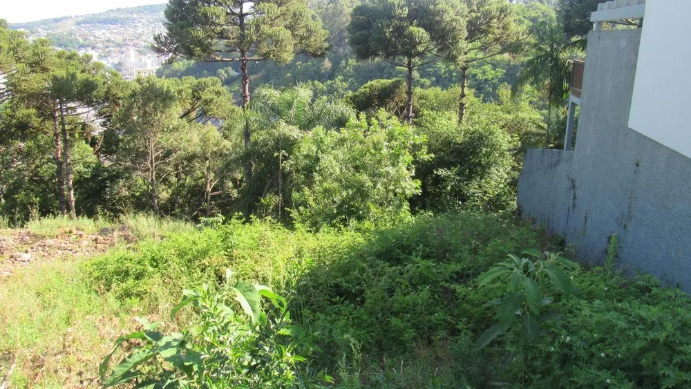 Terreno, 450 m² - Foto 1