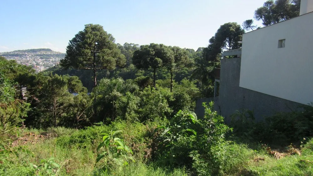 Terreno, 450 m² - Foto 4