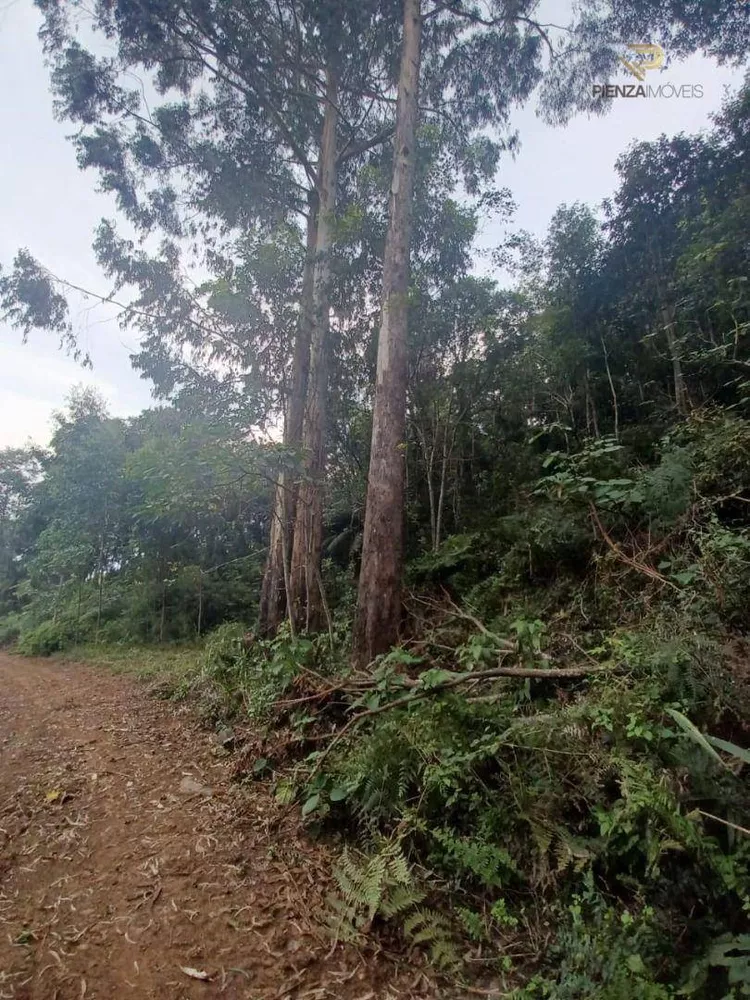 Terreno à venda, 168000M2 - Foto 4