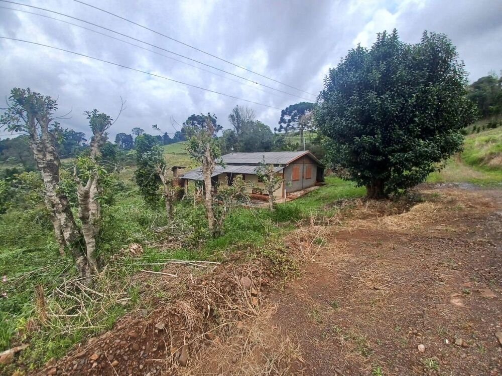 Casa à venda com 2 quartos, 56m² - Foto 4