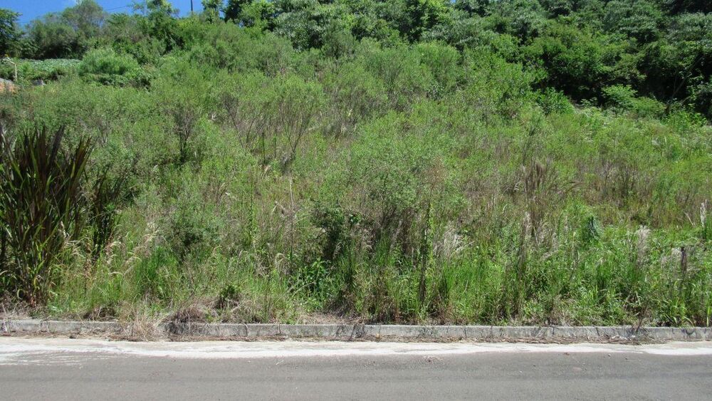 Terreno, 451 m² - Foto 3