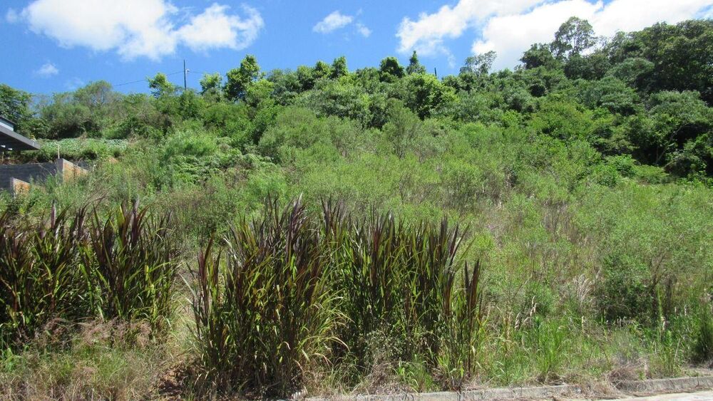 Terreno, 451 m² - Foto 7