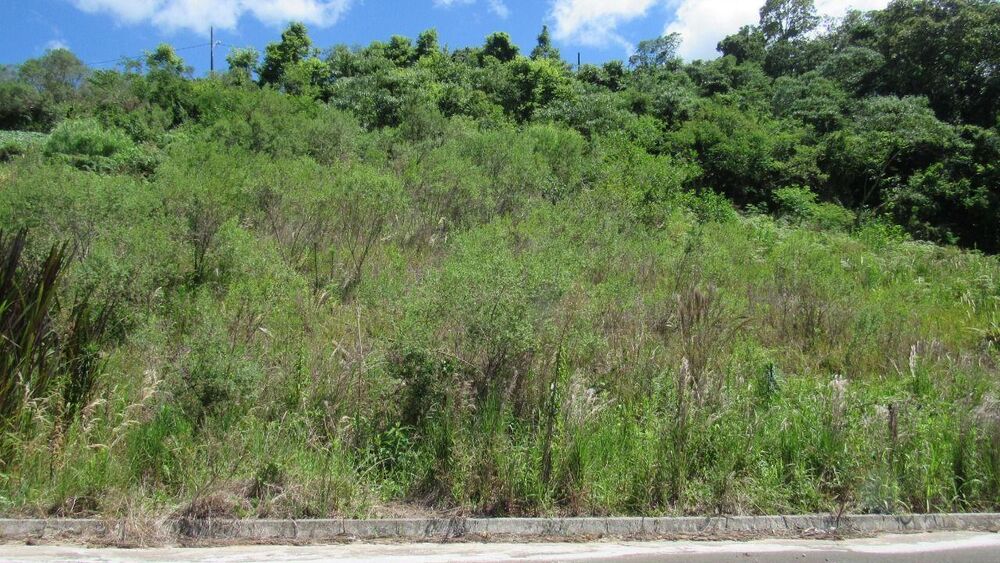 Terreno, 451 m² - Foto 6