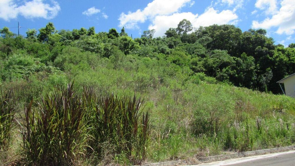 Terreno, 451 m² - Foto 2