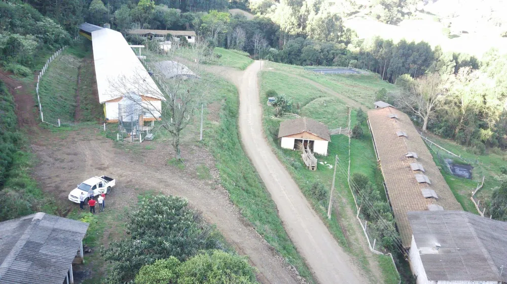 Fazenda, 52 hectares - Foto 6
