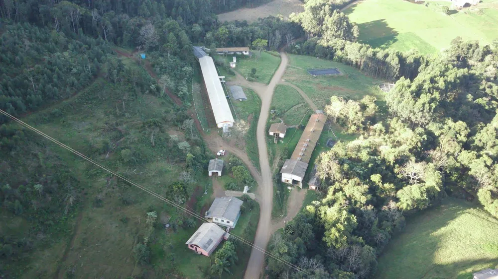 Fazenda, 52 hectares - Foto 5