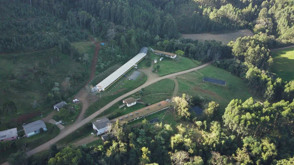Fazenda, 52 hectares - Foto 1