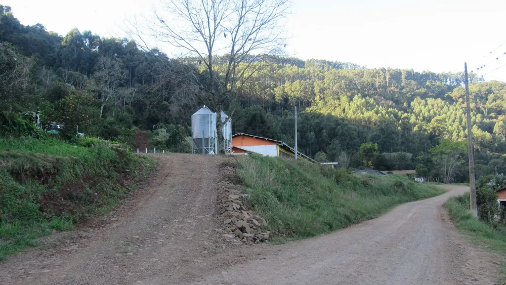 Fazenda, 52 hectares - Foto 8