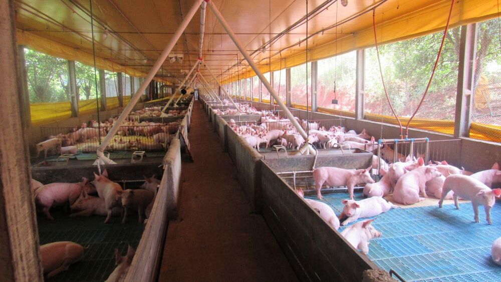 Loteamento e Condomínio, 10 hectares - Foto 23