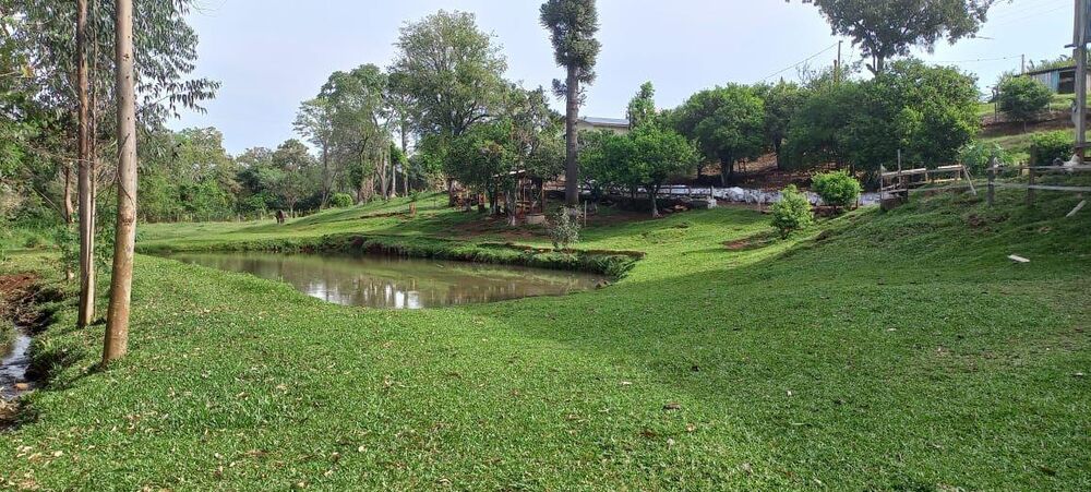 Chácara à venda com 4 quartos, 12000m² - Foto 1