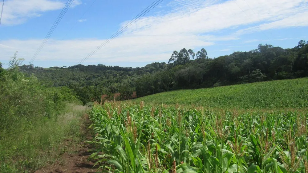 Loteamento e Condomínio, 12 hectares - Foto 6