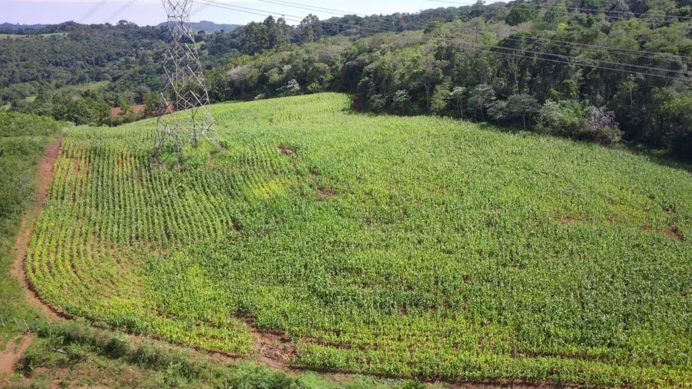Loteamento e Condomínio, 12 hectares - Foto 6