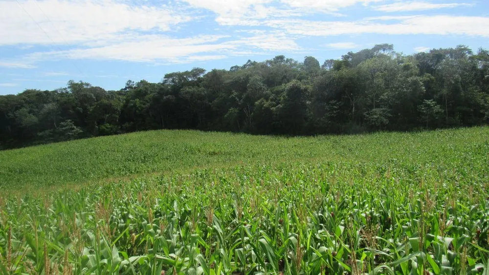 Loteamento e Condomínio, 12 hectares - Foto 1