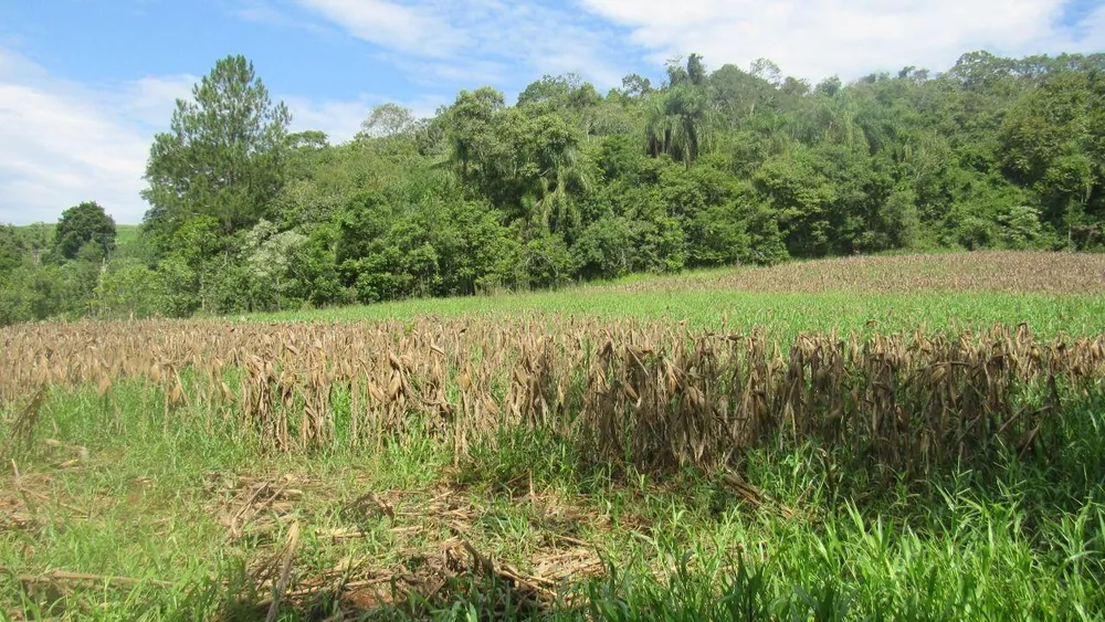 Loteamento e Condomínio, 12 hectares - Foto 10