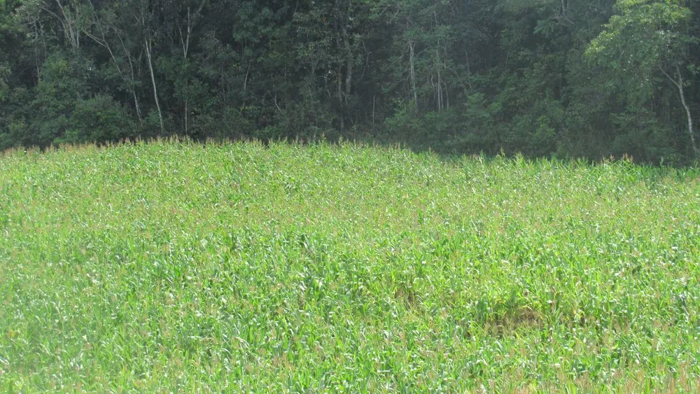 Loteamento e Condomínio, 12 hectares - Foto 3