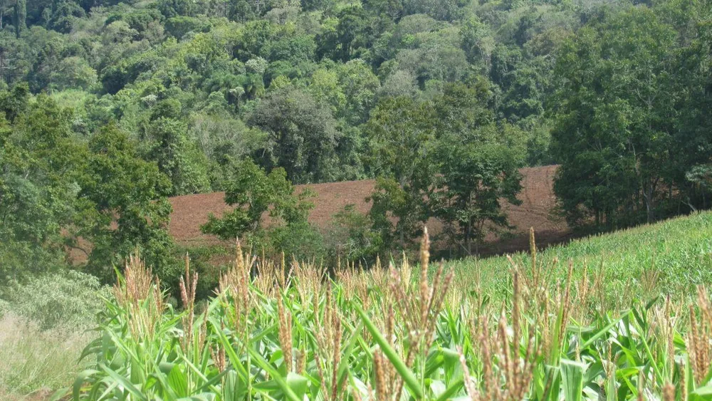Loteamento e Condomínio, 12 hectares - Foto 7