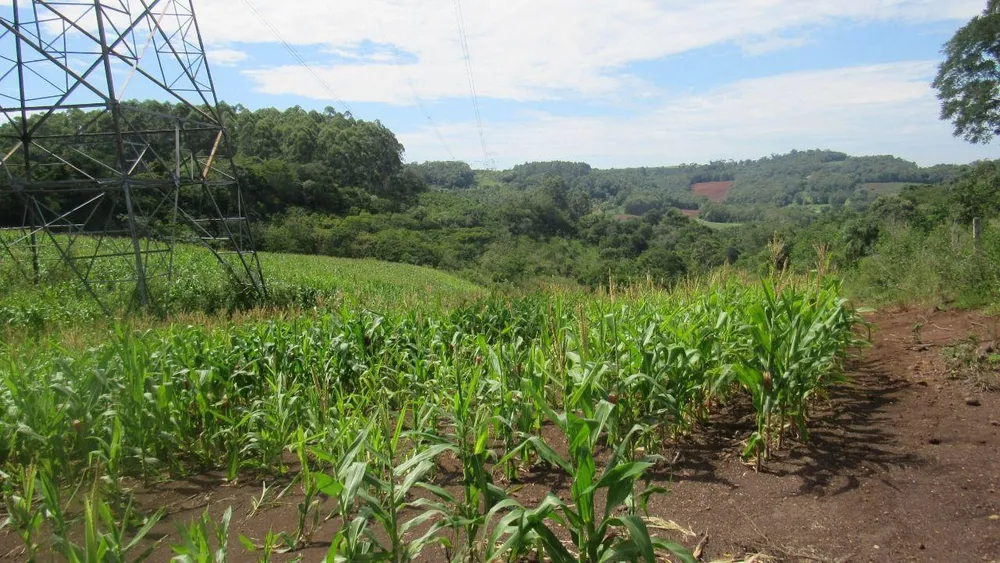 Loteamento e Condomínio, 12 hectares - Foto 2