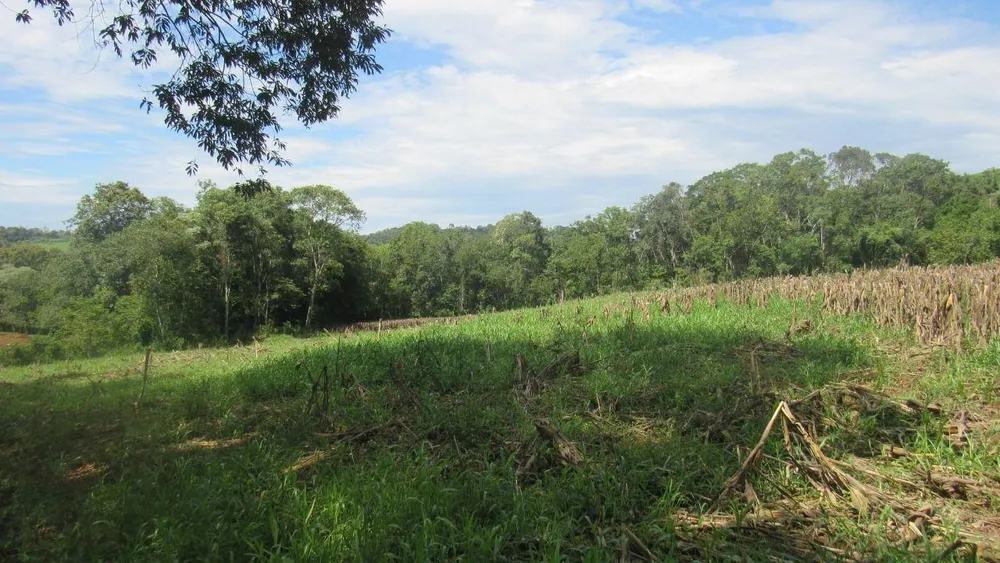 Loteamento e Condomínio, 12 hectares - Foto 9